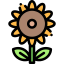 Sunflower icon 64x64