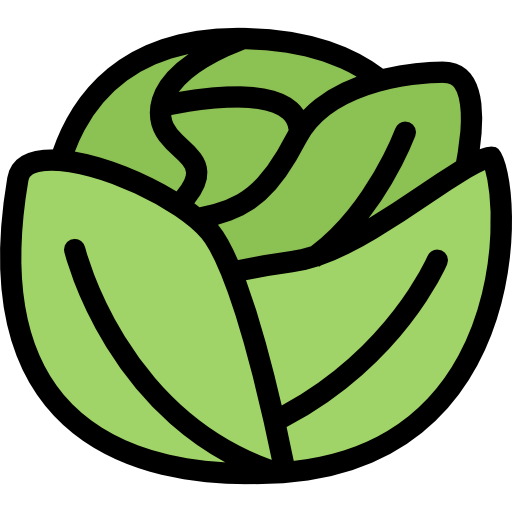 Cabbage icon
