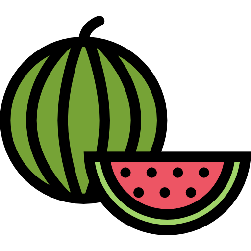 Watermelon icon