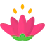 Lotus icon 64x64