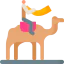 Camel icon 64x64