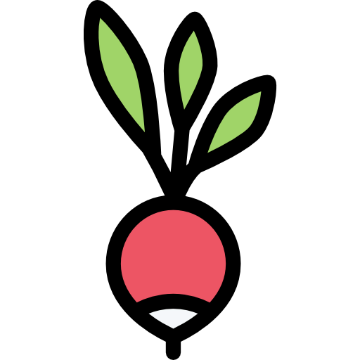 Radish icon