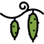 Cucumbers Ikona 64x64
