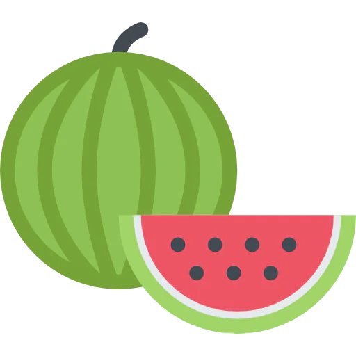 Watermelon icon