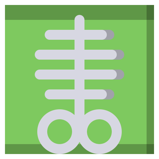 X ray icon