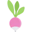 Radish icon 64x64