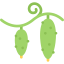 Cucumbers Ikona 64x64
