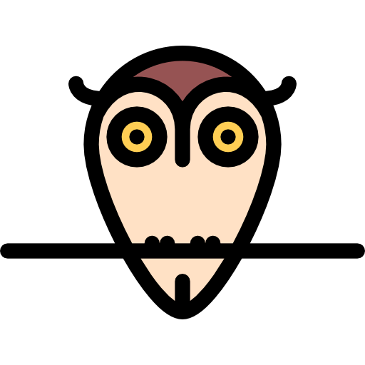 Owl icon