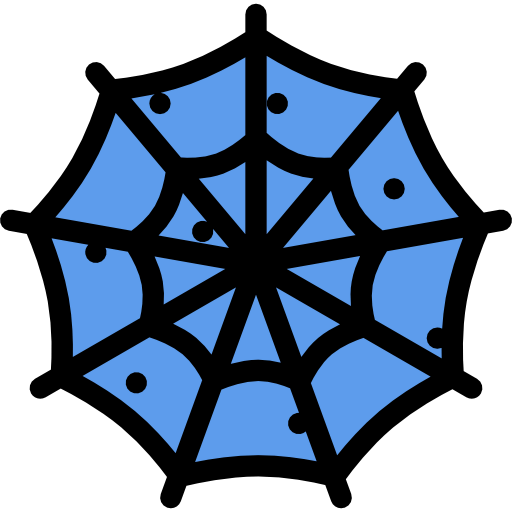 Spider web icon