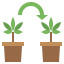 Cloning icon 64x64