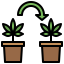 Cloning icon 64x64