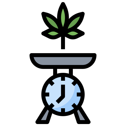 Scale icon