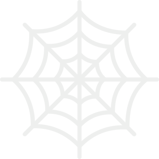 Spider web icon