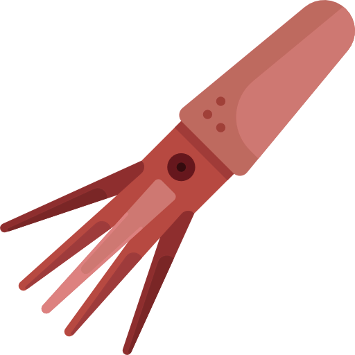 Squid 상