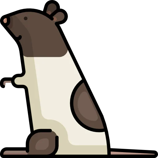 Rat icon