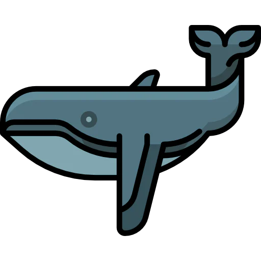 Whale icon
