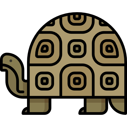 Turtle icon