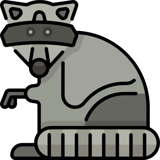 Racoon icon