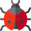 Ladybug icon 64x64