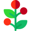 Holly icon 64x64
