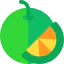 Orange icon 64x64