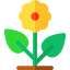 Flower icon 64x64