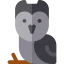 Owl icon 64x64