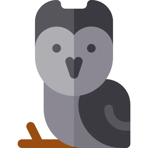 Owl icon