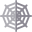 Spider web icon 64x64