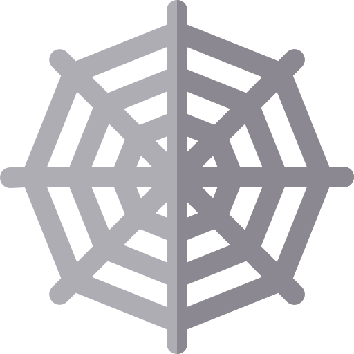 Spider web icon