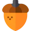 Acorn icon 64x64
