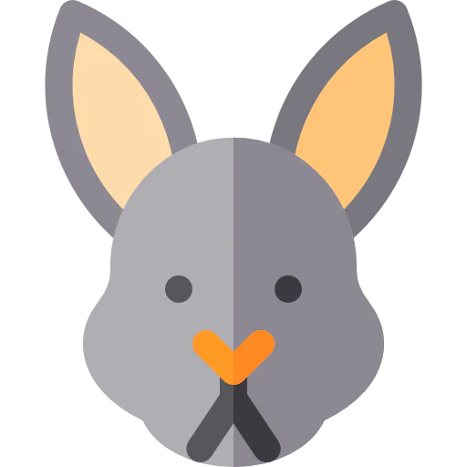 Rabbit icon