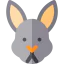 Rabbit icon 64x64