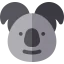 Koala icon 64x64