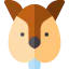 Squirrel icon 64x64