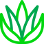 Aloe vera icon 64x64