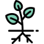 Sprout icon 64x64