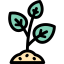 Sprout icon 64x64