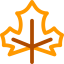 Leaf icon 64x64
