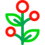 Holly icon 64x64