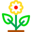 Flower icon 64x64