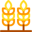 Wheat icon 64x64