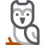 Owl icon 64x64