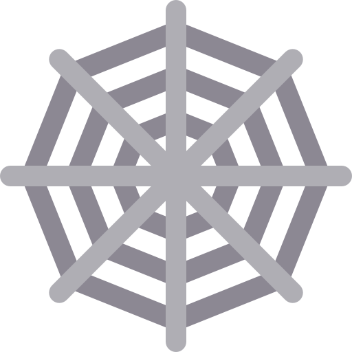 Spider web icon