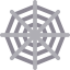 Spider web icon 64x64
