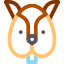 Squirrel icon 64x64