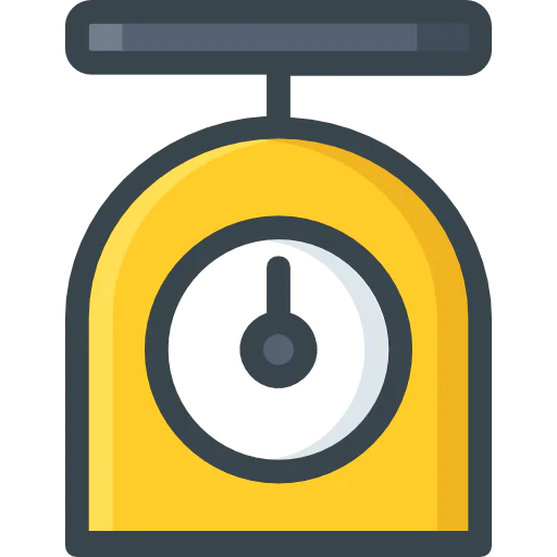 Scale icon