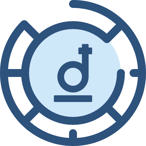 Dong icon