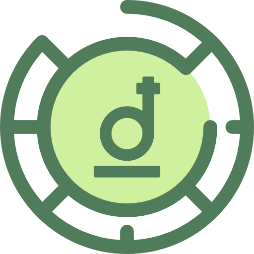 Dong icon
