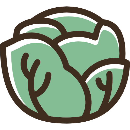 Lettuce icon